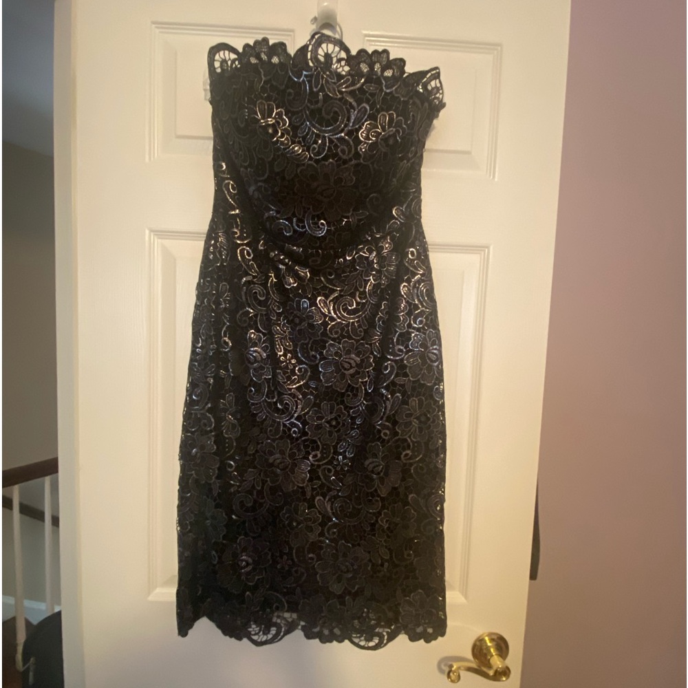 WHBM Pewter/Black Bustier Lace Dress